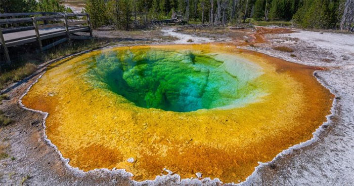 Cổ khuẩn từng được tìm thấy trong môi trường nước sôi ở Công viên quốc gia Yellowstone