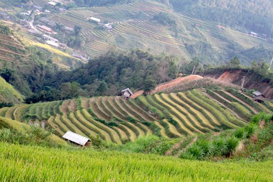 Bản làng Homestay trên đỉnh sừng trời Tây Bắc