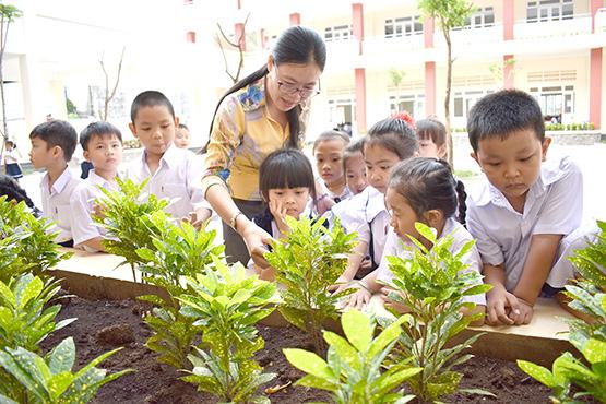 Mùa xuân & Chương trình giáo dục phổ thông mới!