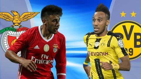 02h45 ngày 15/2, Benfica vs Dortmund: Chuyến đi bão táp
