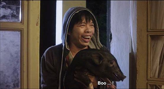 Nghệ sĩ – chuyện vui buồn với heo