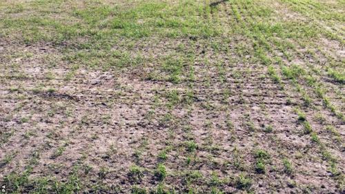 Sân của Rostov bị đóng cửa sau chỉ trích của Mourinho