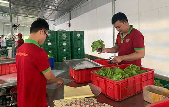 Người dân “đói” thông tin trong sản xuất nông nghiệp