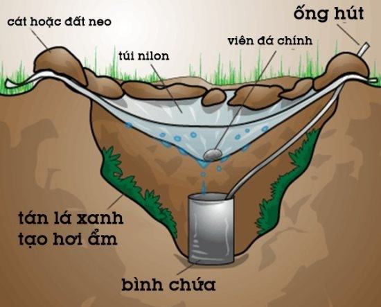 10 kỹ năng cần thiết trong cuộc sống giúp bạn cứu nguy khi cần thiết