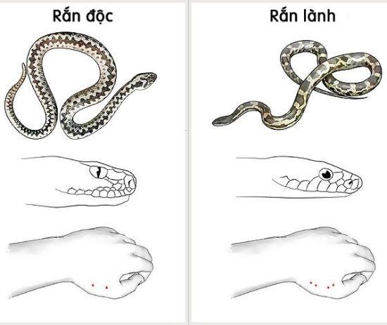 10 kỹ năng cần thiết trong cuộc sống giúp bạn cứu nguy khi cần thiết