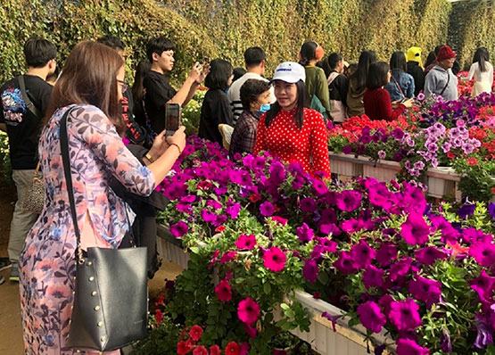 Hơn 220.000 lượt khách đến với Festival hoa Đà Lạt