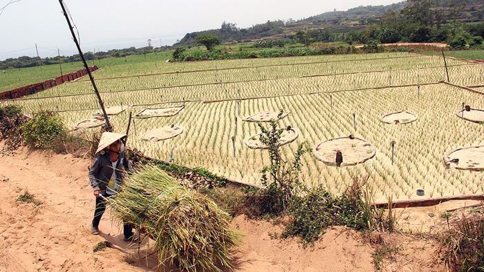 Chồng lên 9 dự án, FLC đang vào cuộc đua thần tốc