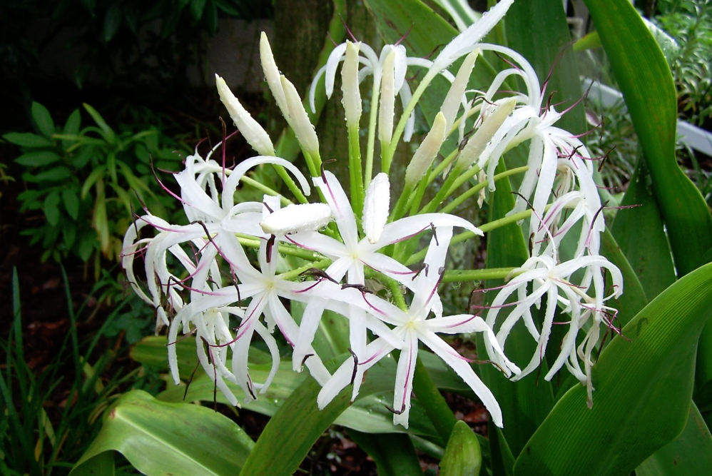 Thi ảnh và thiết kế infographic với chủ đề “Nghề nghiệp tôi yêu”