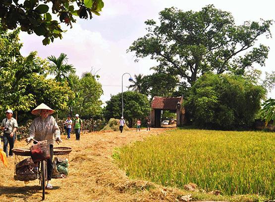 Người thành phố đâu có lạnh lùng