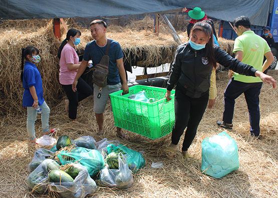 Mỗi trái dưa – Một tấm lòng