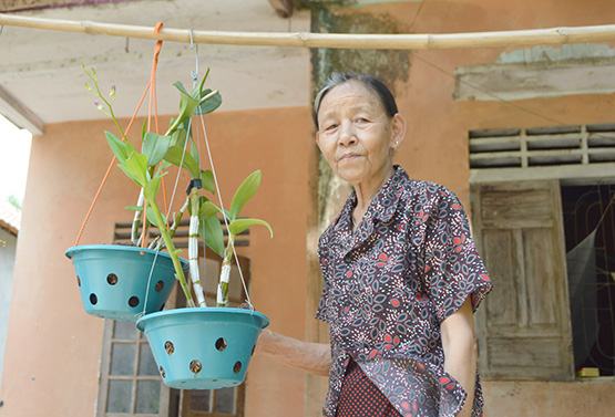 “Cọc tiêu sống” trên đường Hồ Chí Minh