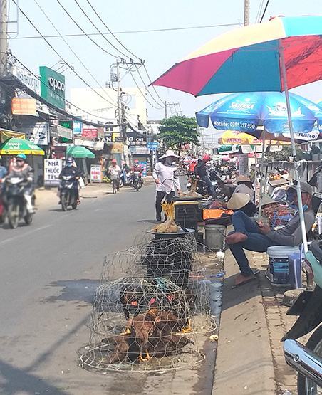 Người dân vẫn vô tư mua bán, giết mổ gia cầm sống