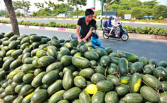 Giải cứu tư duy làm nông hay giải cứu nông sản?