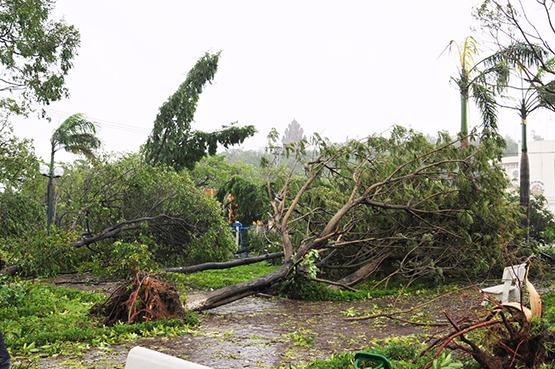Phú Yên: Gần 8.000 ngôi nhà bị tốc mái