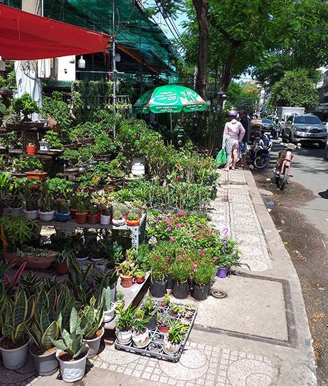 Bức xúc “chợ” hoa, cây cảnh chiếm vỉa hè!