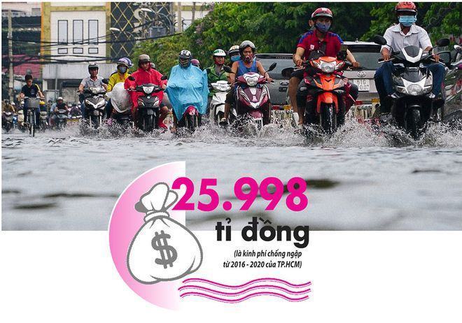 1/4 diện tích TP.HCM sẽ chìm trong nước? - ảnh 1