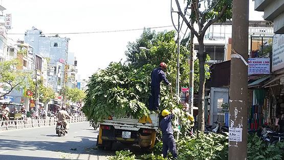 TP.HCM: Nhiều phương án đảm bảo ATGT đường bộ