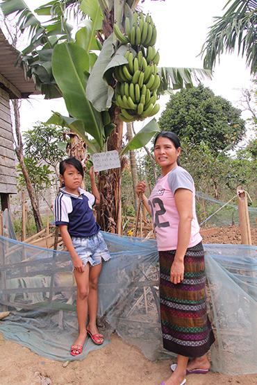 Nơi cây chuối, cây tiêu tiếp sức đến trường