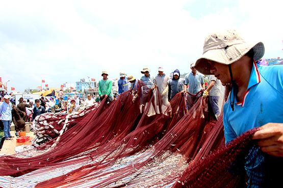 Nhịp sống Lý Sơn