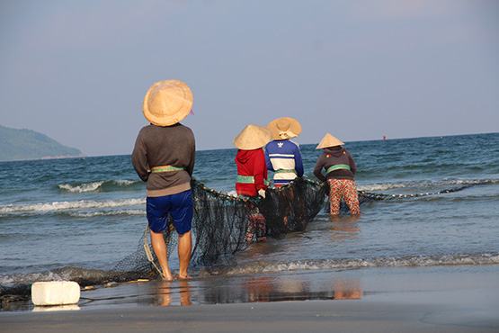 Mưu sinh từ mẻ lưới gần bờ