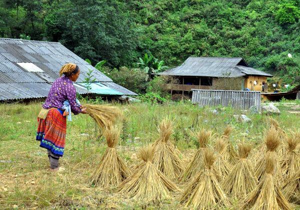 153 triệu USD giúp Việt Nam xóa đói giảm nghèo vùng nông thôn