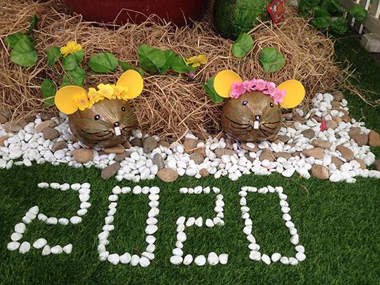 “Chuột dừa thân thiện”