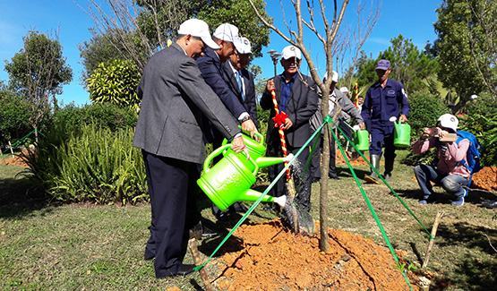 Lễ trồng 100 cây hoa anh đào Nhật Bản
