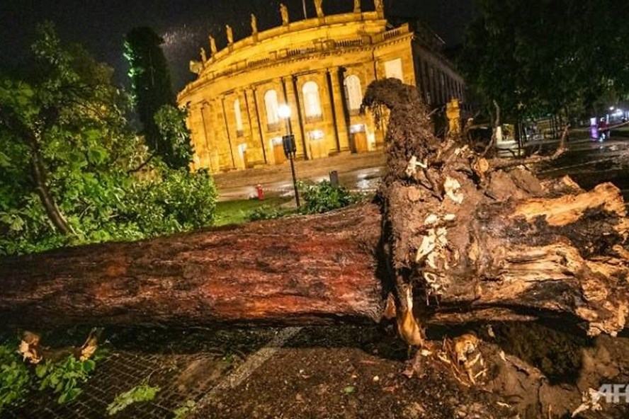 Bão tấn công dữ dội Đức, Pháp và Thụy Sĩ gây hậu quả nặng nề