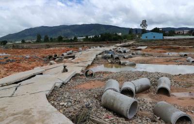 Lâm Đồng: Thiệt hại gần 1.000ha rau, hoa, cây trồng