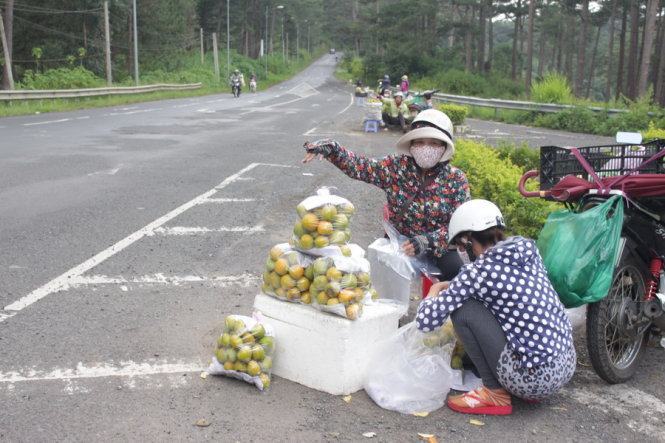 ​Người dân huyện Đức Trọng mang hồng giòn bày bán dọc đèo Prenn Đà Lạt với giá 10.000 đồng/kg sáng 30-9 - Ảnh: C.Thành