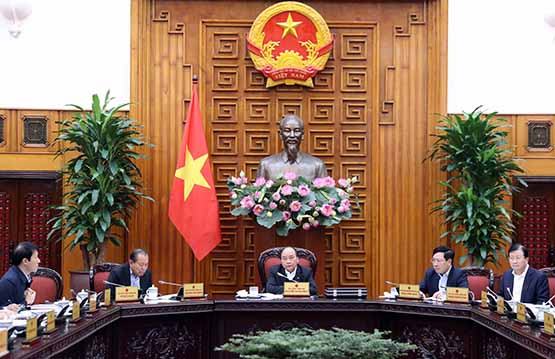 Ngành mía đường: Tổ chức lại sản xuất để năng suất tốt hơn