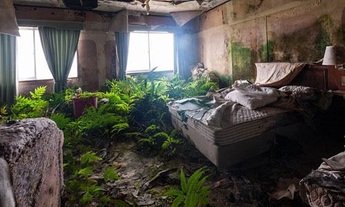 Bên trong một bất động sản bị bỏ hoang ở đảo&nbsp;Hachijojima, Nhật Bản.