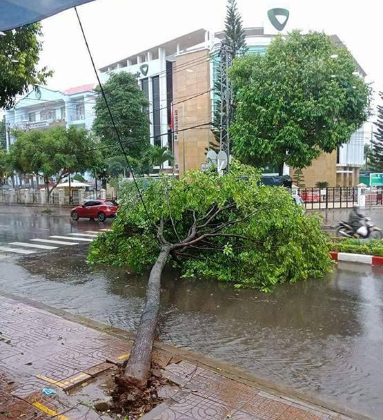 Sẽ biên soạn tài liệu về phòng chống thiên tai trong trường học