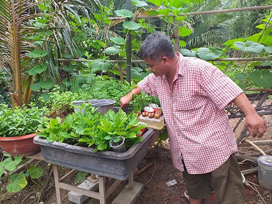 Những nông dân cuối cùng ở Bình Quới