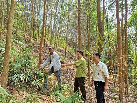 Nhiều biện pháp phòng chống cháy rừng