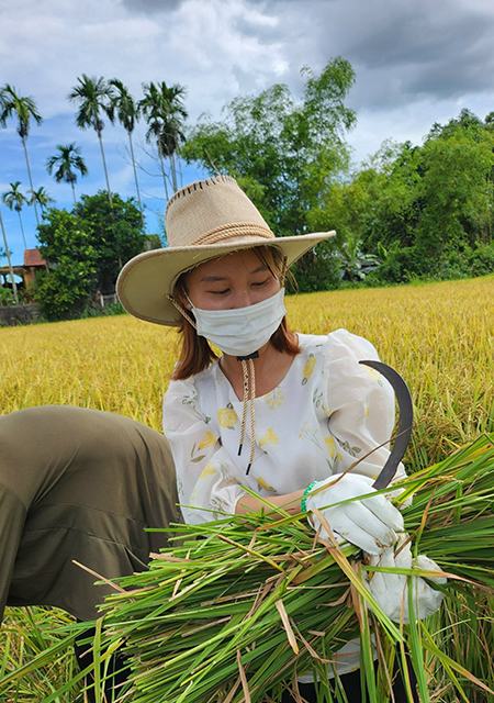 Hành trình của những cọng rơm