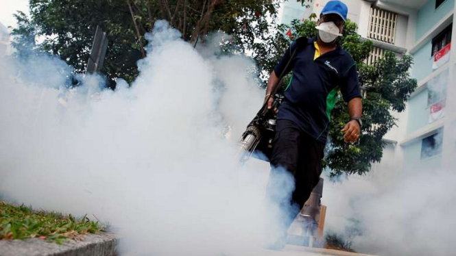 2,6 tỉ người ở châu Á, châu Phi có nguy cơ nhiễm Zika 