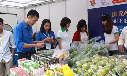 61 ý tưởng vào chung khảo khu vực sáng tạo khởi nghiệp sinh viên