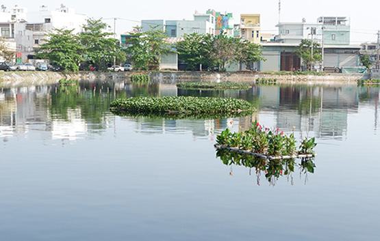 Đà Nẵng: Phê duyệt chủ trương xử lý môi trường hồ Bàu Trảng