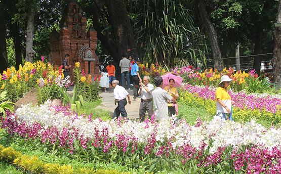 Festival Hoa lan 2019 thu hút hàng chục ngàn người tham quan
