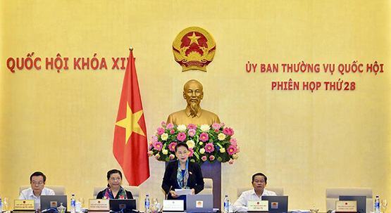 Phải thực hiện đấu thầu công khai việc giao đất