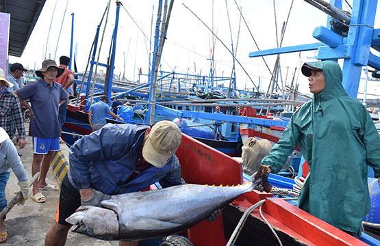 Ứng phó với bão số 6: Không để người dân ở lại khu vực nguy hiểm