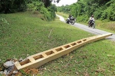 3 con voi rừng quật đổ cột điện