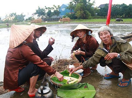 Hân hoan ngày hội xuống đồng