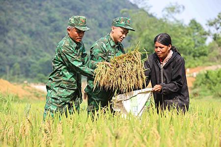 Mùa vàng bên dãy Trường Sơn