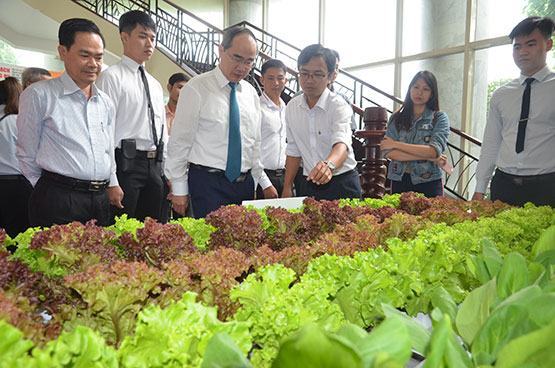 Kinh tế tập thể: Góp phần làm đời sống người lao động ổn định