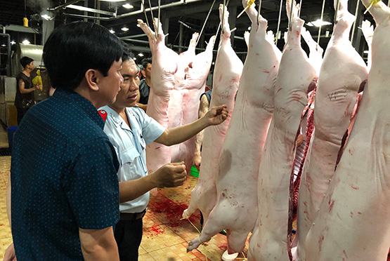 Bệnh tả heo châu Phi tái bùng phát: TP.HCM cấp đông thịt heo cung cấp cho thị trường