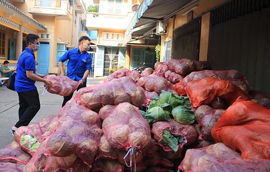 “Giải cứu” nông sản Hải Dương