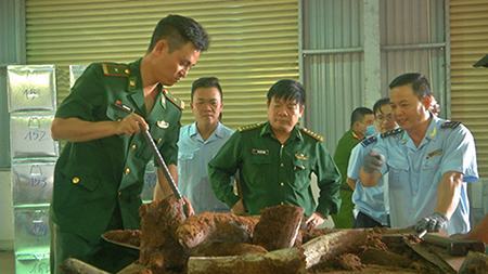 “Bóc gỡ” thủ đoạn buôn lậu động vật hoang dã tinh vi