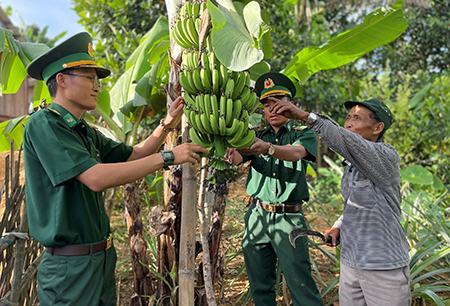 Viết trang đời mới trên miền biên cương